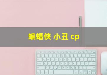 蝙蝠侠 小丑 cp